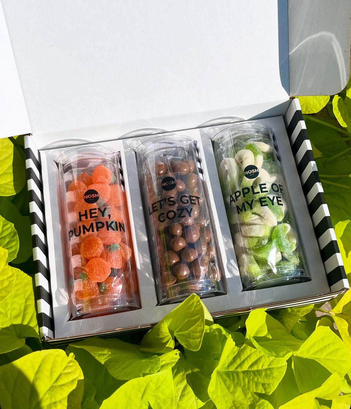 SEASONAL SWEETS - Large Candy Gift Box